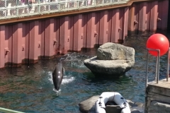 k-IMG_20170719_124328