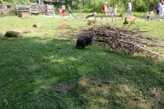 k-IMG_20170719_140712